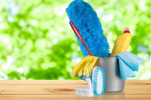 Professional upholstery cleaning in a Knightsbridge luxury living room