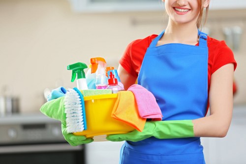Professional stain removal in Knightsbridge for carpets and upholstery