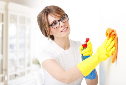 Knightsbridge carpet cleaners beginning a safe cleaning service in a home
