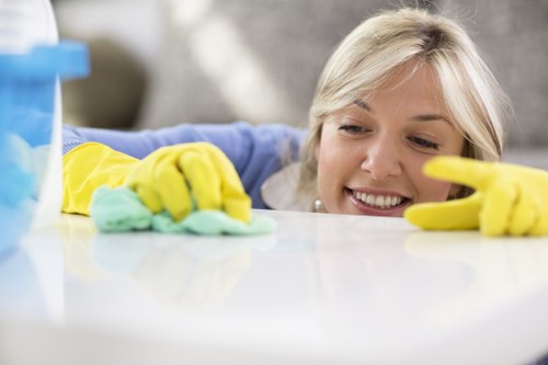 Carpet cleaning team using sustainable waste sorting practices in Knightsbridge