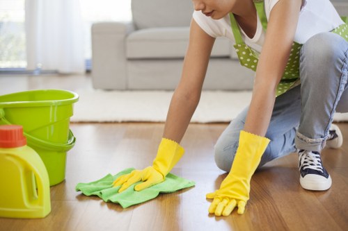 Deep carpet cleaning process in an elegant London property
